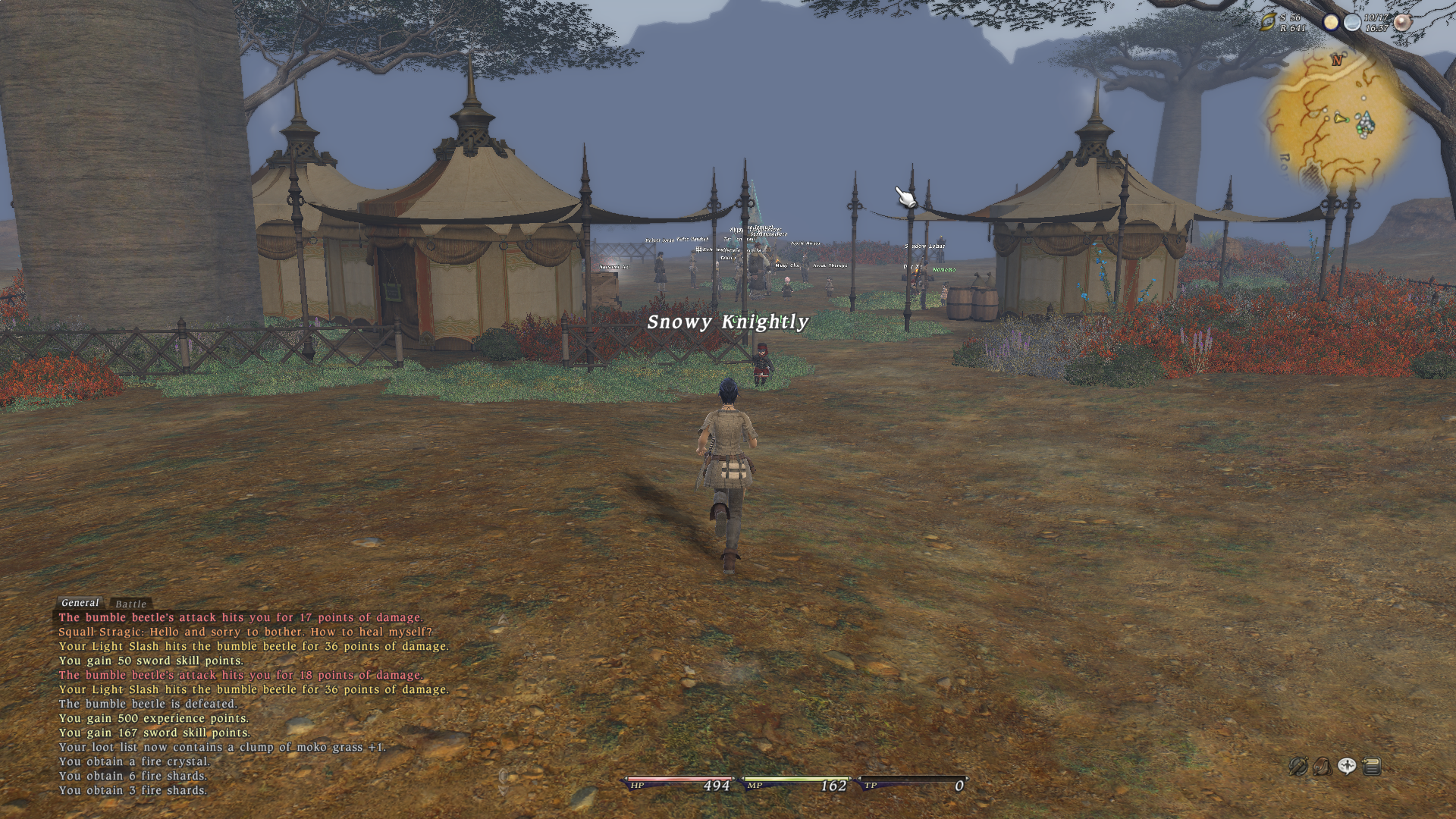 ffxivgame 2010-09-02 14-28-25-13.png